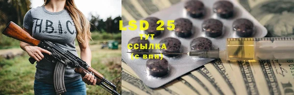 крисы Баксан