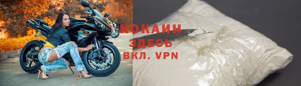 крисы Баксан