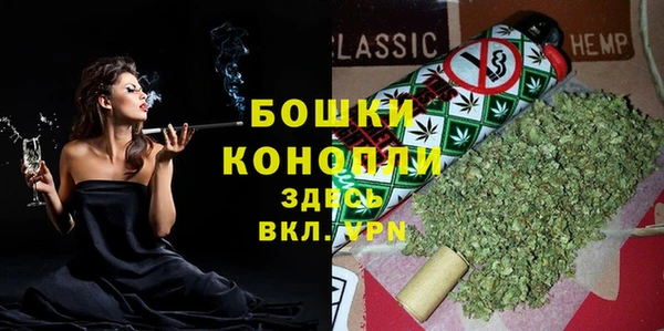 крисы Баксан
