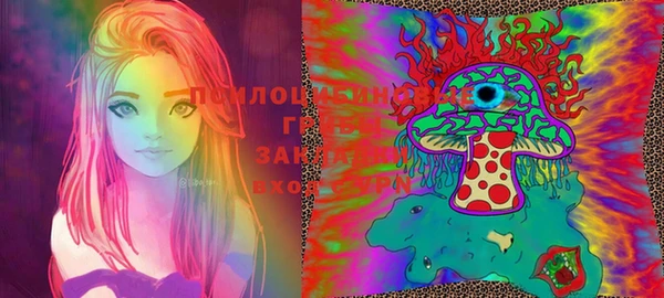 крисы Баксан