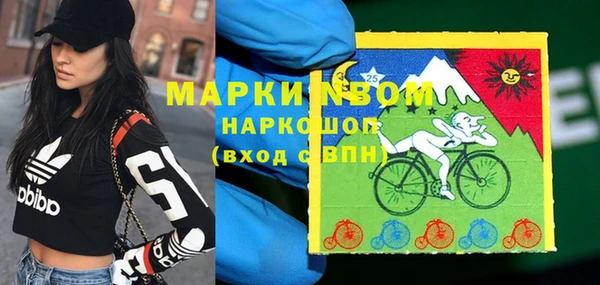 стаф Балахна