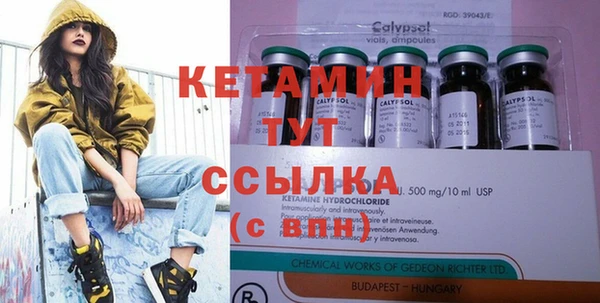 крисы Баксан