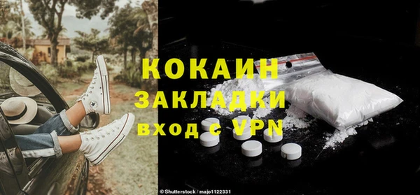 крисы Баксан