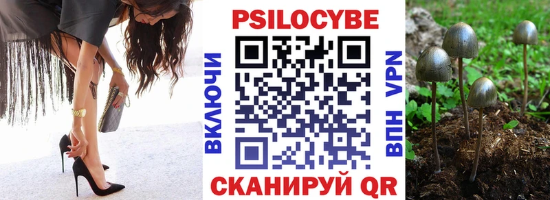 продажа наркотиков Фрязино Псилоцибиновые грибы MAGIC MUSHROOMS